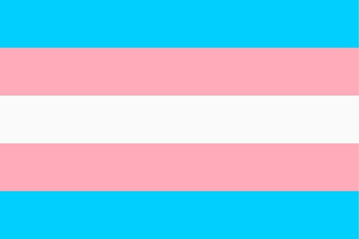 Transgender Pride Flag