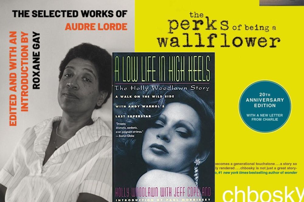 The covers of The Selected Works of Audre Lorde, A Low Life in High Heels, and The Perks of Being a Wallflower.