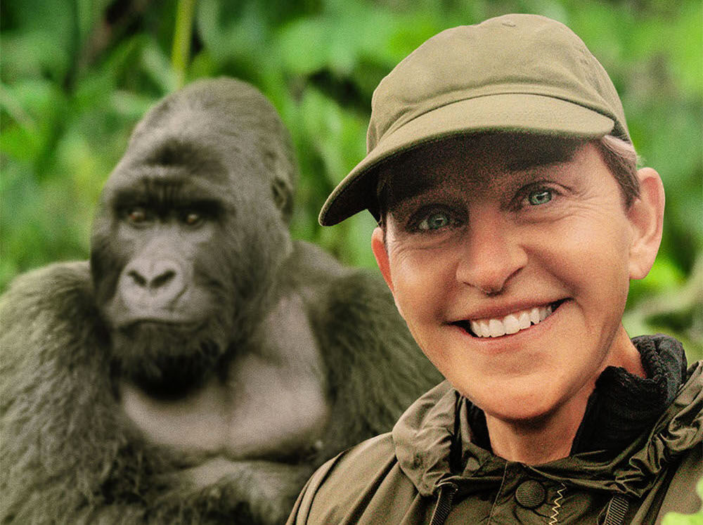 saving-the-gorillas-ellens-degeneres-next-adventure-tv-show
