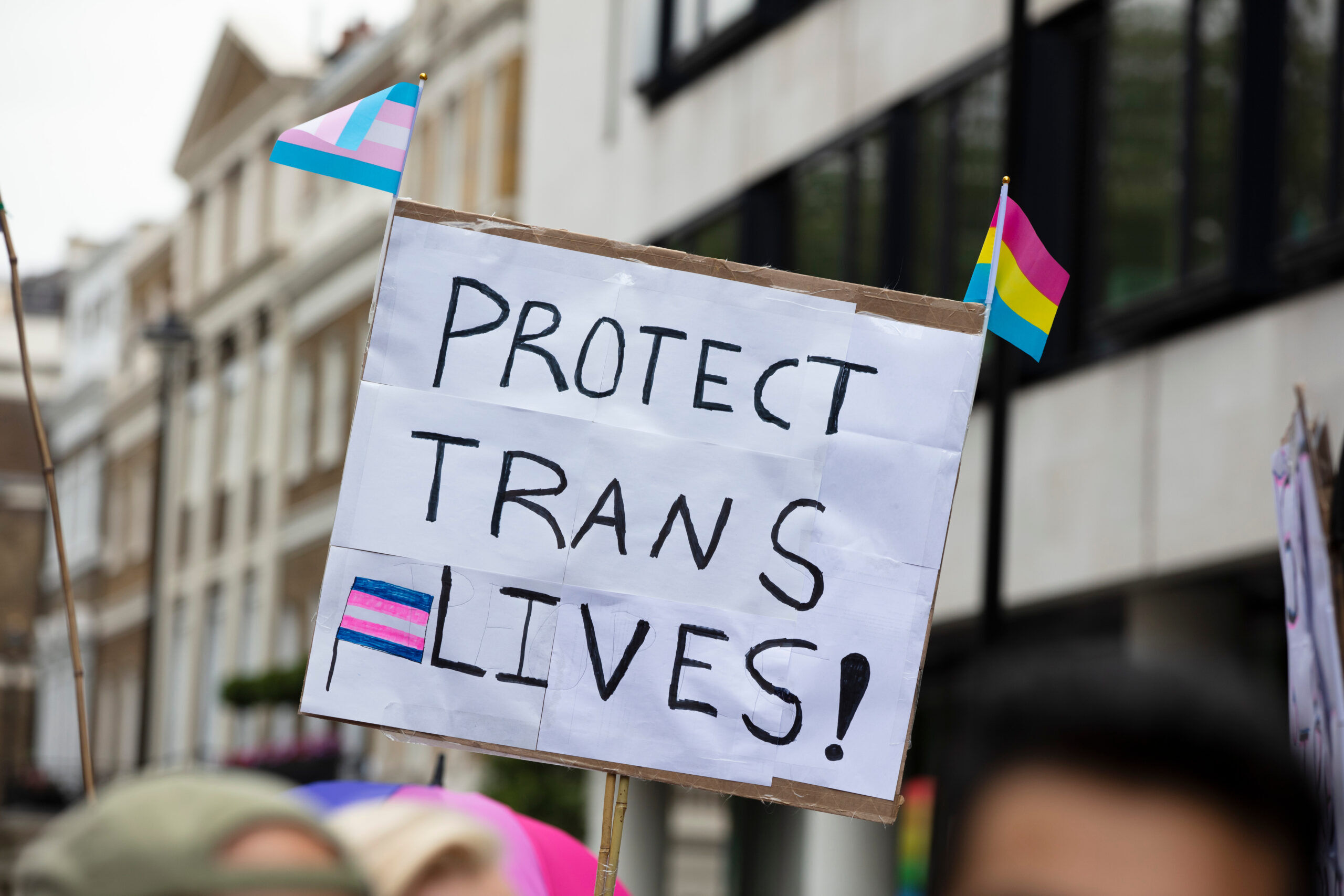 A person holding a sign reading protect trans lives