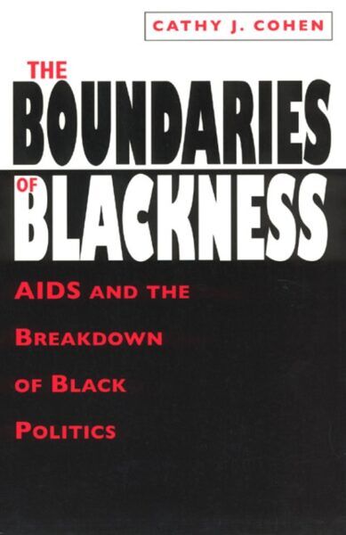 The Boundaries of Blackness: AIDS and the Breakdown of Black Politics book cover