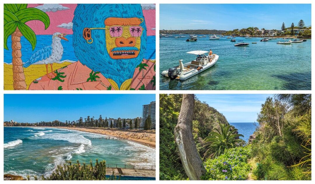Collage showing a mural of a gorilla on the beach, a view of Sydney Harbour, a view of Manly Beach, a photo of a lush gorge.