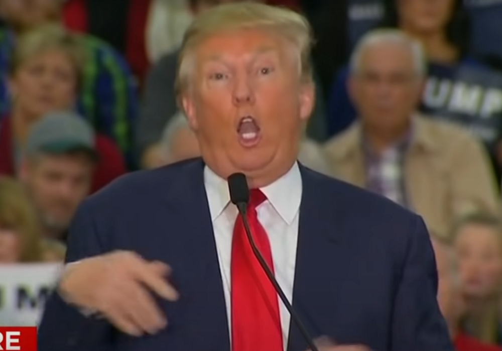 Donald Trump mocking a reporter with a disability