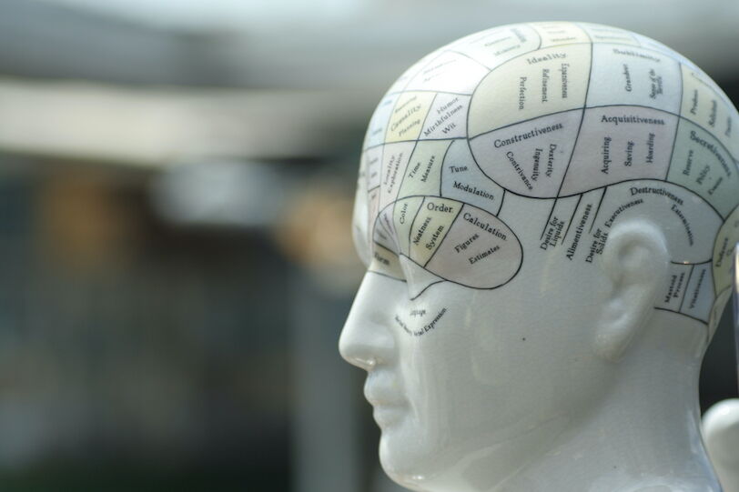 phrenology head statue