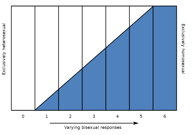 The Kinsey Scale