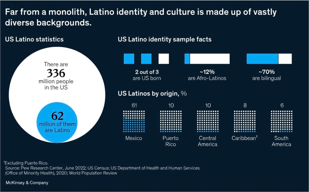 An infographic showing the diverse characteristics of the U.S. Latino community.