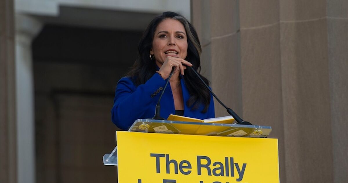 tulsi-gabbard-anti-lgbtq.jpg?auto=format
