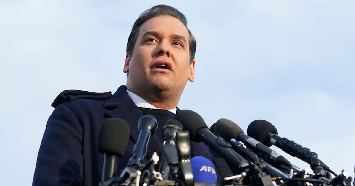 Felon George Santos flees New York because it'll be too "dangerous" if Zohran Mamdani wins - LGBTQ Nation