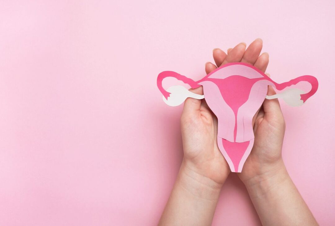 health, gynecology and reproductive system concept. hands holding decorative model uterus on pink background.
