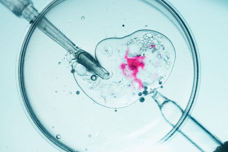 Beautiful view of Frequent Spontaneous Conception Methods