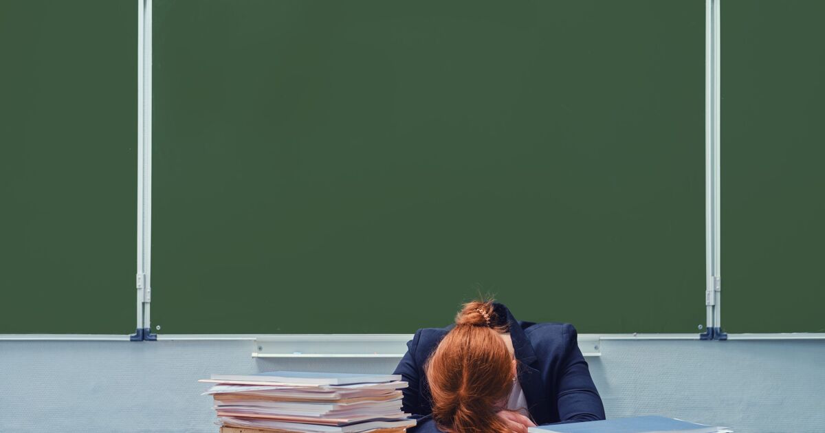 Judge rules against teacher who was suspended for having LGBTQ+ books in her classroom - LGBTQ Nation