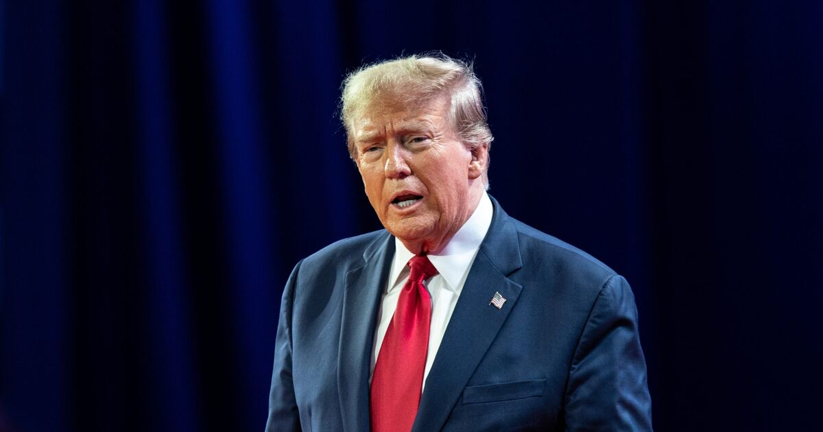 Political expert says the resistance has gained momentum: "Furious" Americans have had enough - LGBTQ Nation