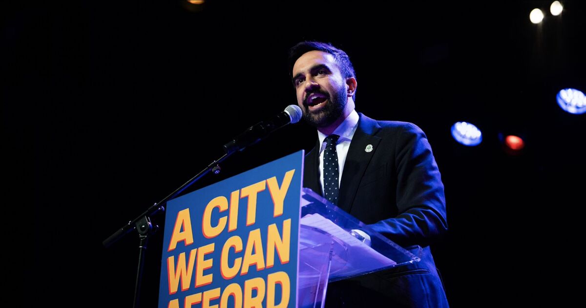 Crowd goes wild as Zohran Mamdani takes the stage at late-night queer Halloween party - LGBTQ Nation